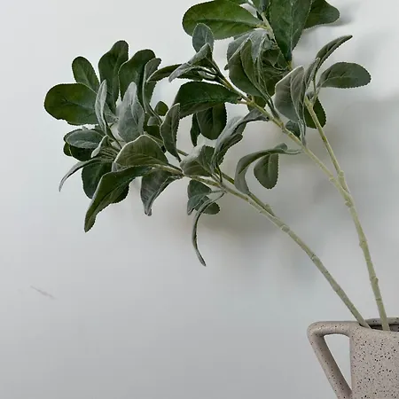 Apartment Zen 2 *